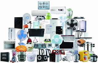 中國機(jī)電產(chǎn)品進(jìn)出口商會(huì) 上半年家電出口形勢好于預(yù)期