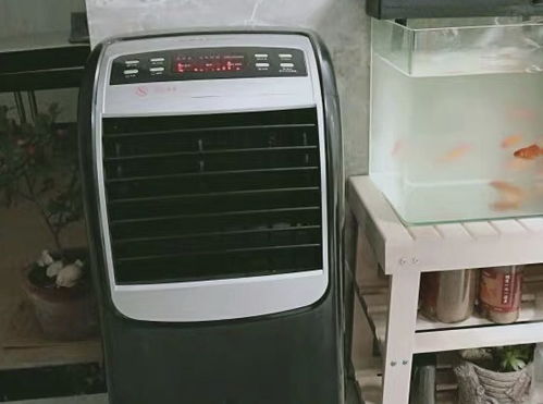 誰買誰后悔的6個(gè)家電,放在家里吃灰又占地方,送親戚朋友都不要